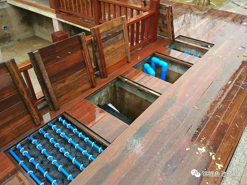 別墅魚池過(guò)濾器奧利仕 陜西別墅魚池過(guò)濾 奧利仕